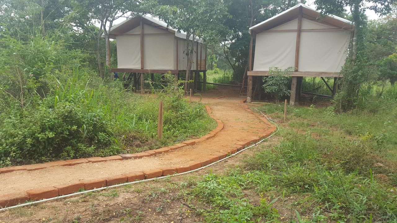 Asharo Sigiriya Villa Exteriör bild