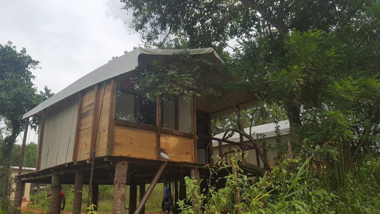 Asharo Sigiriya Villa Exteriör bild