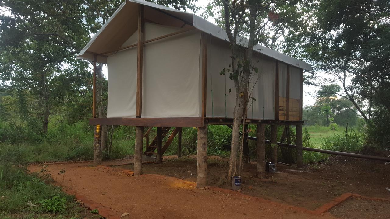 Asharo Sigiriya Villa Exteriör bild